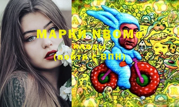 хмурый Алзамай