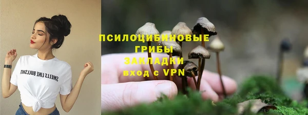 хмурый Алзамай