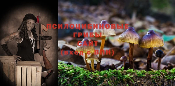 ALPHA PVP Алексин