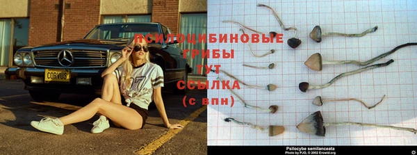 круглые Алексеевка