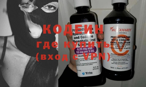 хмурый Алзамай
